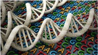 Una búsqueda para mapear la diversidad genómica humana en el mundo