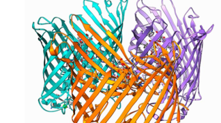 Una caja de Pandora': el mapa de familias de estructuras de proteínas deleita a los científicos