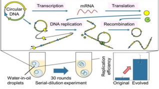ADN artificial puede replicarse y evolucionar fuera de la célula